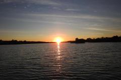 DSCN5547