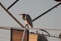 DSCN5654