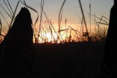 DSCN5672