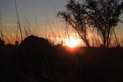 DSCN5682