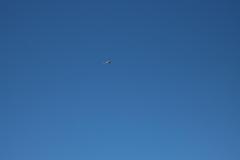 IMG_3587