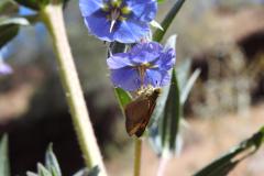 DSCN8397