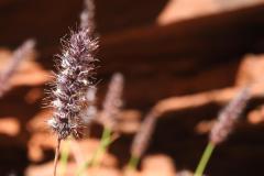 DSCN8438
