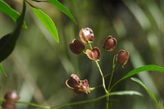 DSCN8511