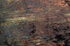 DSCN8541