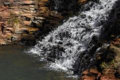 DSCN8617