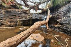 2020-08-16-16.28.52-1