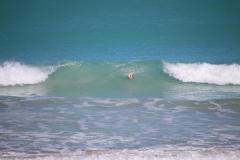 IMG_9598