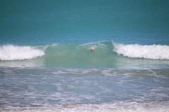 IMG_9599