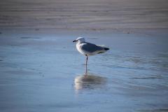 IMG_9727