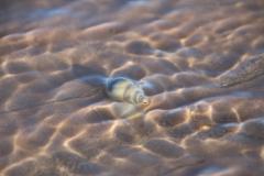 IMG_0160