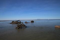 IMG_0260