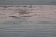 IMG_0312