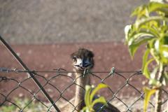 IMG_1577