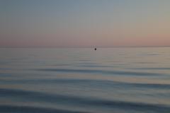 IMG_1661