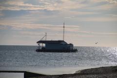IMG_0453
