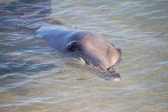 IMG_0501