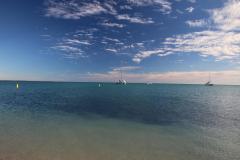 IMG_0506