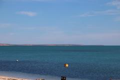 IMG_0718