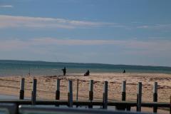 IMG_0726