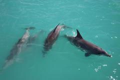 IMG_1095