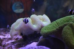 IMG_1475