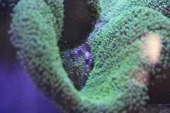 IMG_1476