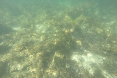 DCIM\100GOPRO