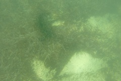 DCIM\100GOPRO
