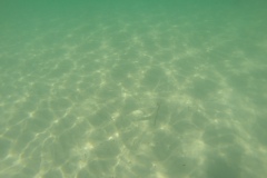 DCIM\100GOPRO