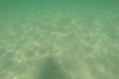 DCIM\100GOPRO