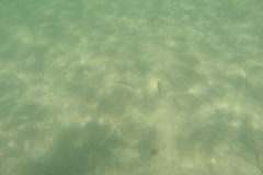 DCIM\100GOPRO