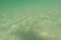 DCIM\100GOPRO