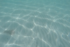 DCIM\100GOPRO