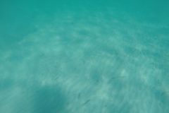 DCIM\100GOPRO
