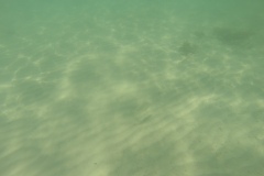DCIM\100GOPRO
