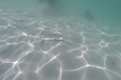 DCIM\100GOPRO