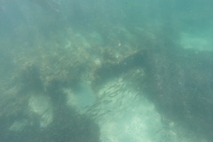 DCIM\100GOPRO