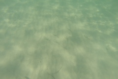 DCIM\100GOPRO
