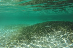 DCIM\100GOPRO