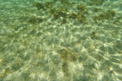 DCIM\100GOPRO