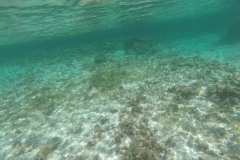 DCIM\100GOPRO