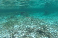 DCIM\100GOPRO