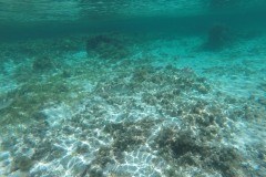 DCIM\100GOPRO