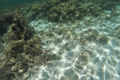 DCIM\100GOPRO