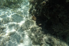 DCIM\100GOPRO