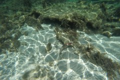DCIM\100GOPRO