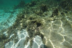 DCIM\100GOPRO