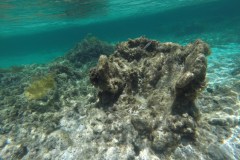 DCIM\100GOPRO