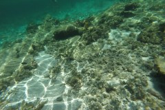 DCIM\100GOPRO